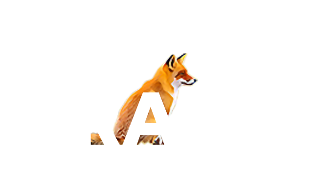 GEOGRAMS Co., Ltd